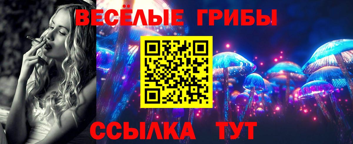 Щёлково  Псилоцибиновые грибы прущие грибы  Вход с VPN  цены   Псилоцибиновые грибы прущие грибы 